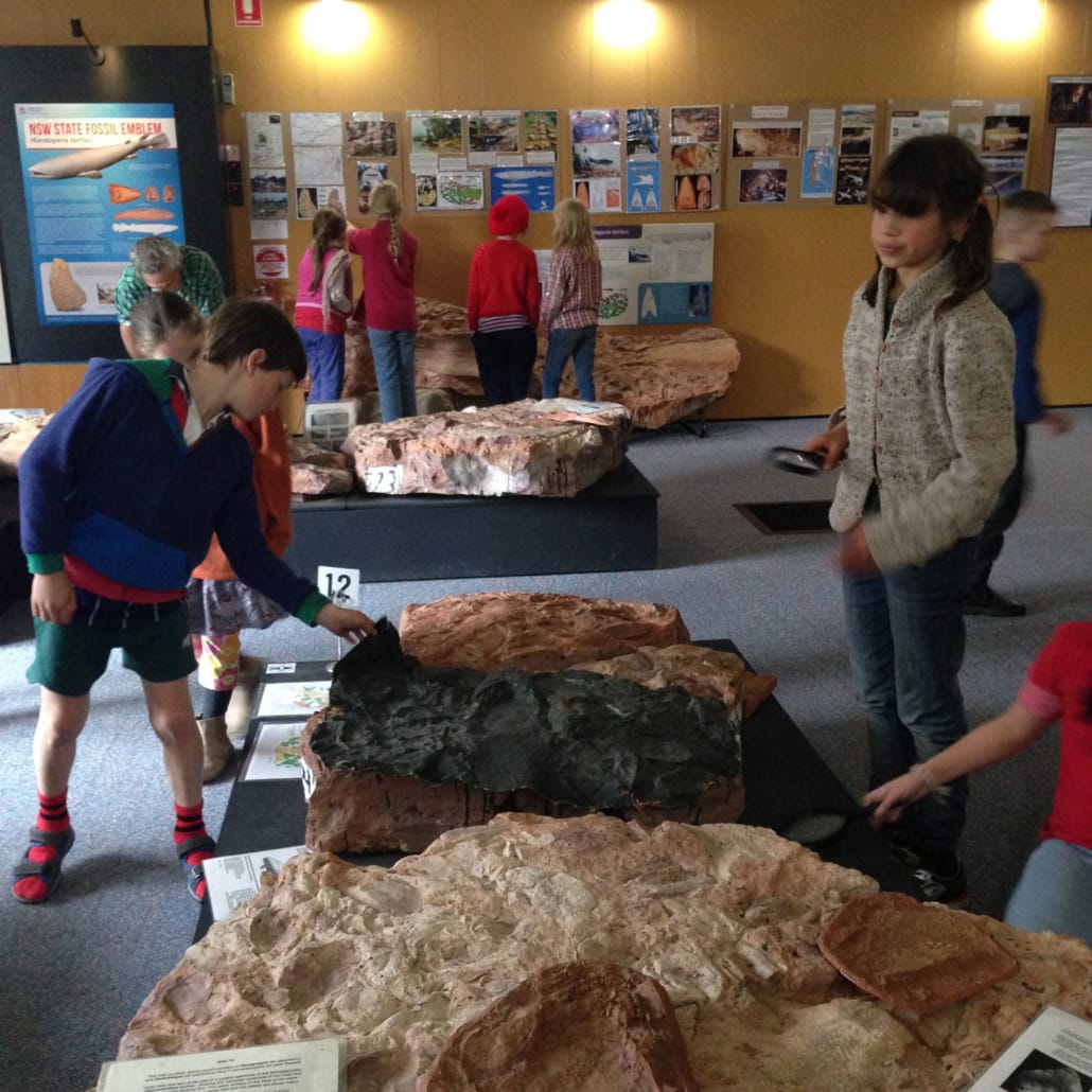 Class 4- 5 camp Age of Fishes Museum