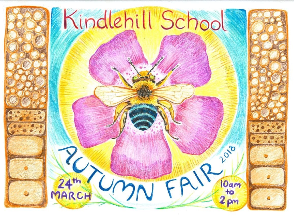 A vibrant native bee on a pink blossom celebrates creativity, seasonal rhythm, and earth-centred community connection.