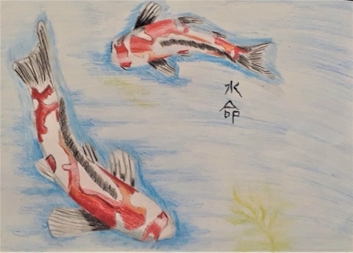 Two vibrantly coloured koi swim through water, embodying the resilience and beauty of a more harmonious world.