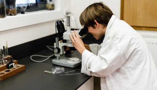 A Kindlehill student explores scientific wonder through a microscope, cultivating curiosity and deep connection to the living world.