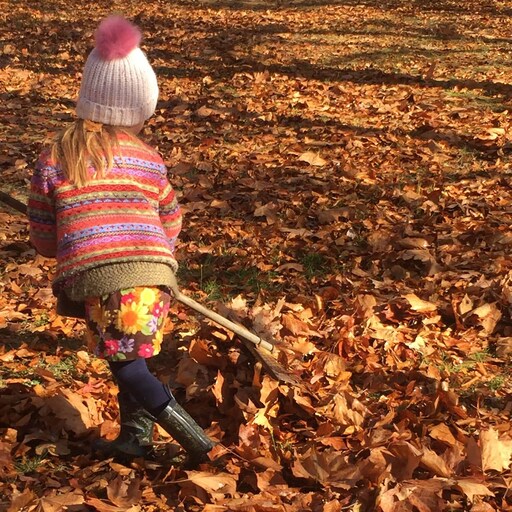 Kindy child rakes autumn leaves, honouring seasonal rhythms and exploring science through purposeful physical connection with nature.