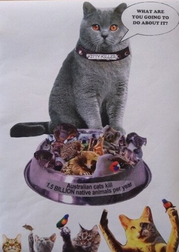 A cat demands accountability for billions of native animal deaths, urging protection of the land and local wildlife.