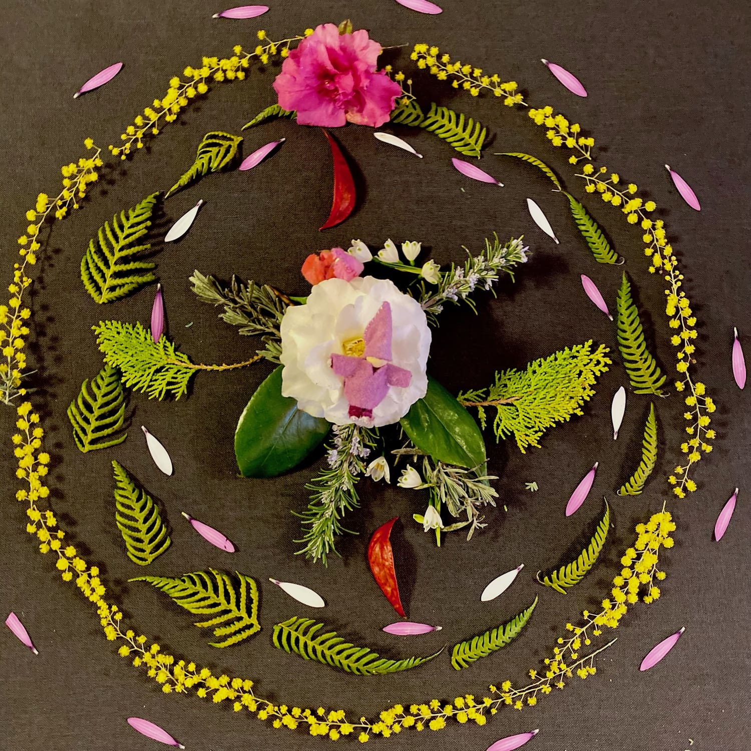 Hand-crafted botanical mandala symbolising seasonal rhythm and a heart-centred connection to the local land and community.