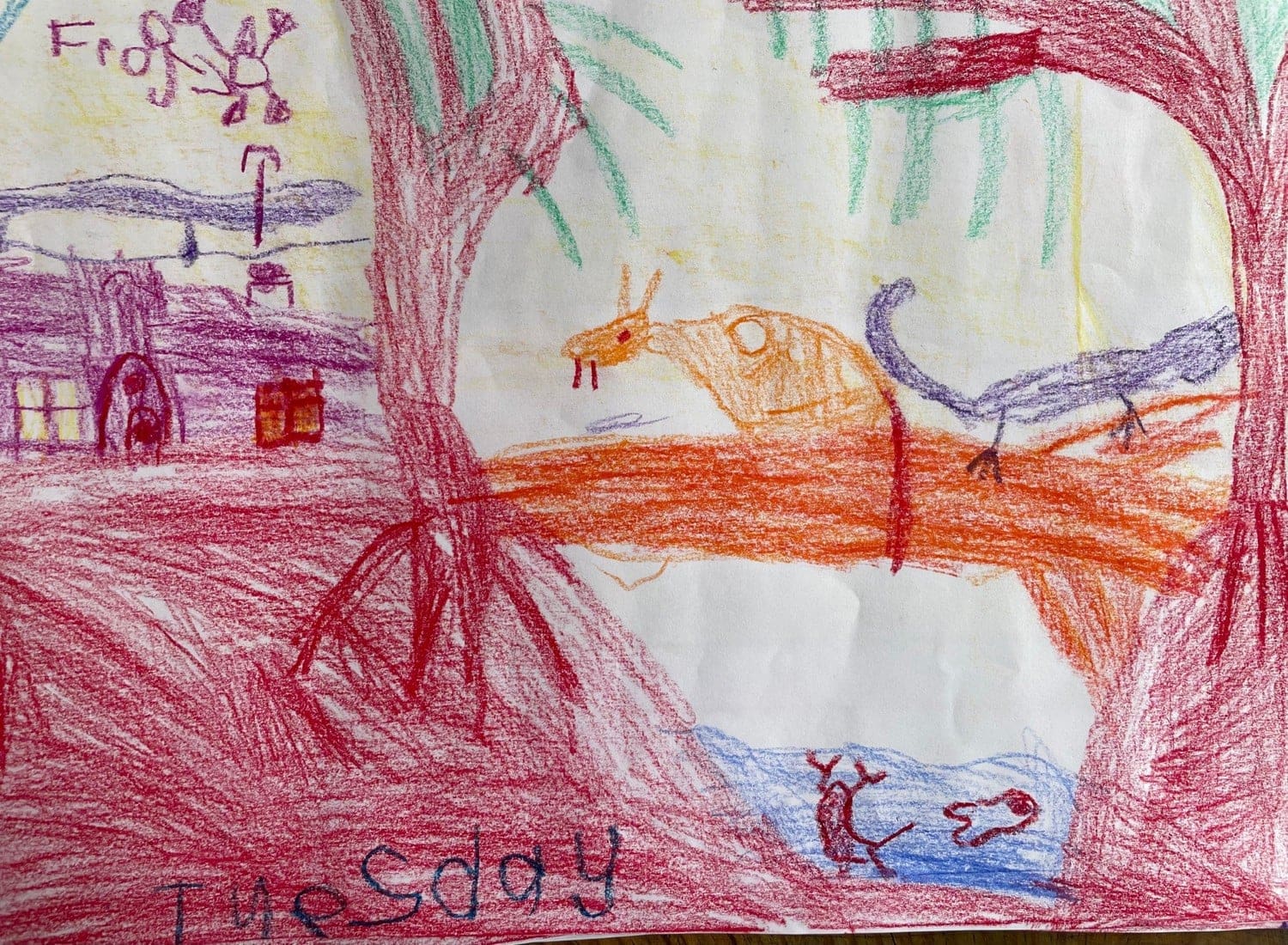 Bush creatures Skelter the skink and Eddie the echidna meet at Sweet Water Swamp in a vibrant childs drawing.