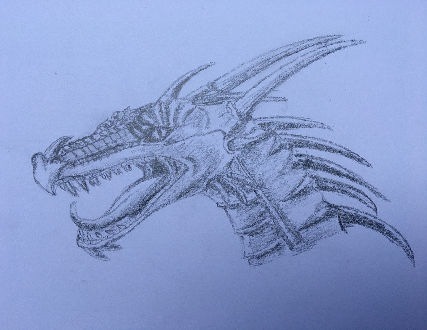 Intricate pencil-sketched dragon symbolising the fierce power of imagination and the students quest for wisdom and inner strength.