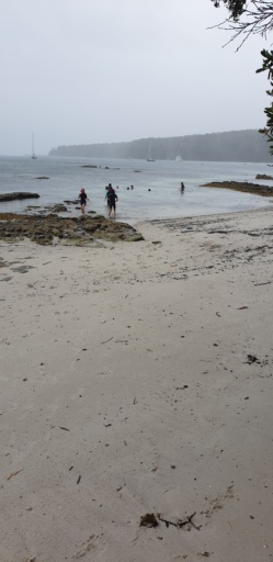 Kindlehill students wade into coastal waters, building resilience and wonder during an immersive snorkelling camp on Country.