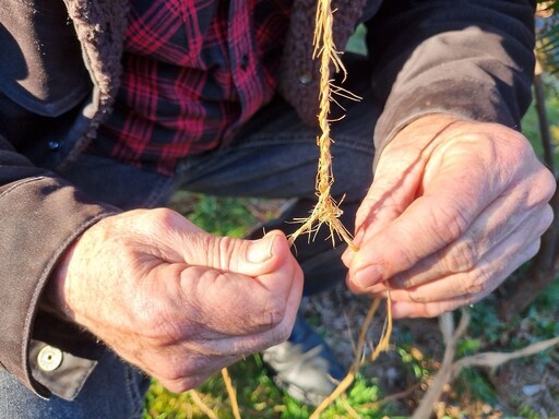 Weathered hands weave natural fibres into rope, embodying the schools deep, heart-centred connection with the land and Country.