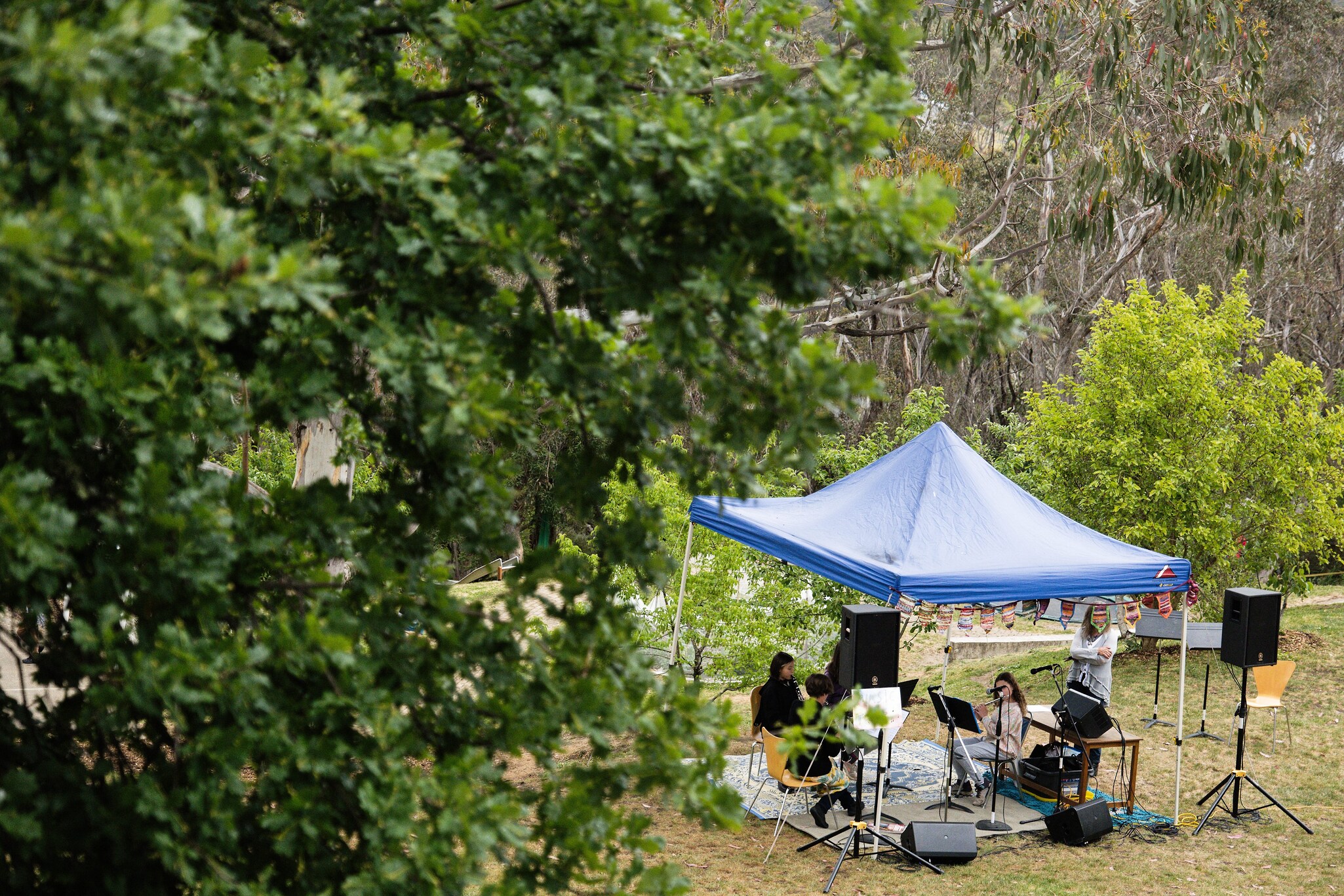 Musicians harmonise under a marquee nestled in the Blue Mountains bushland, celebrating the soulful spirit of community.