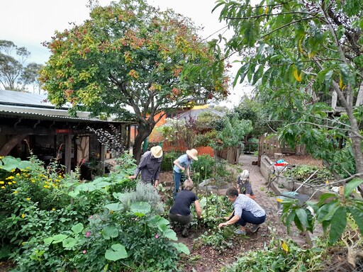 Community members weave a permaculture garden bed together, honouring their shared connection to the land and natures rhythms.