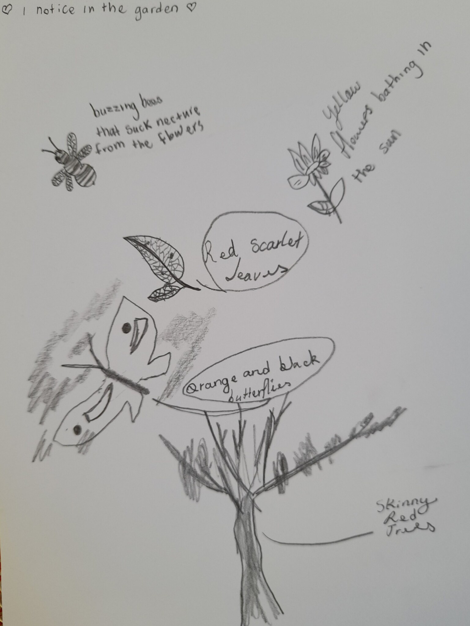 A students nature journal documenting garden observations, connecting with seasonal rhythms and the living language of the land.