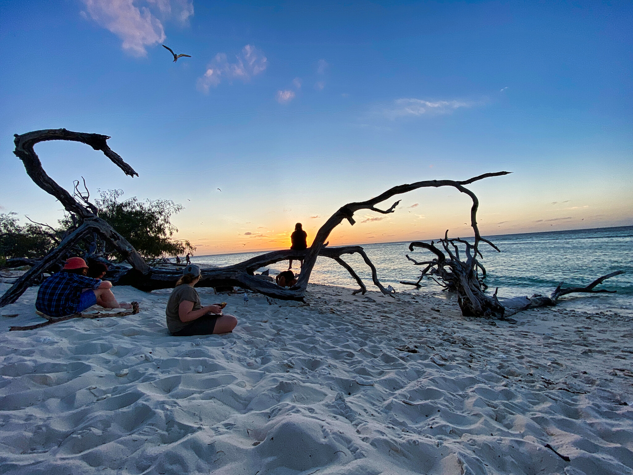 Students embrace natures rhythm and harmony, sitting silhouetted against a tranquil sunset on their school camp journey.