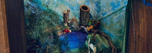 Kindergarten bushland play setting featuring natural logs and native greenery beneath a shimmering starlit winter sky.