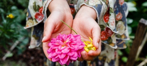 Small hands tenderly cradle vibrant blossoms, honouring the heart-centred connection between children and the natural world.