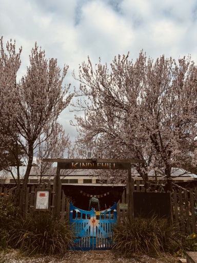 Spring blossoms frame the Kindlehill entrance, honouring the seasonal rhythm and our connection to the Blue Mountains landscape.