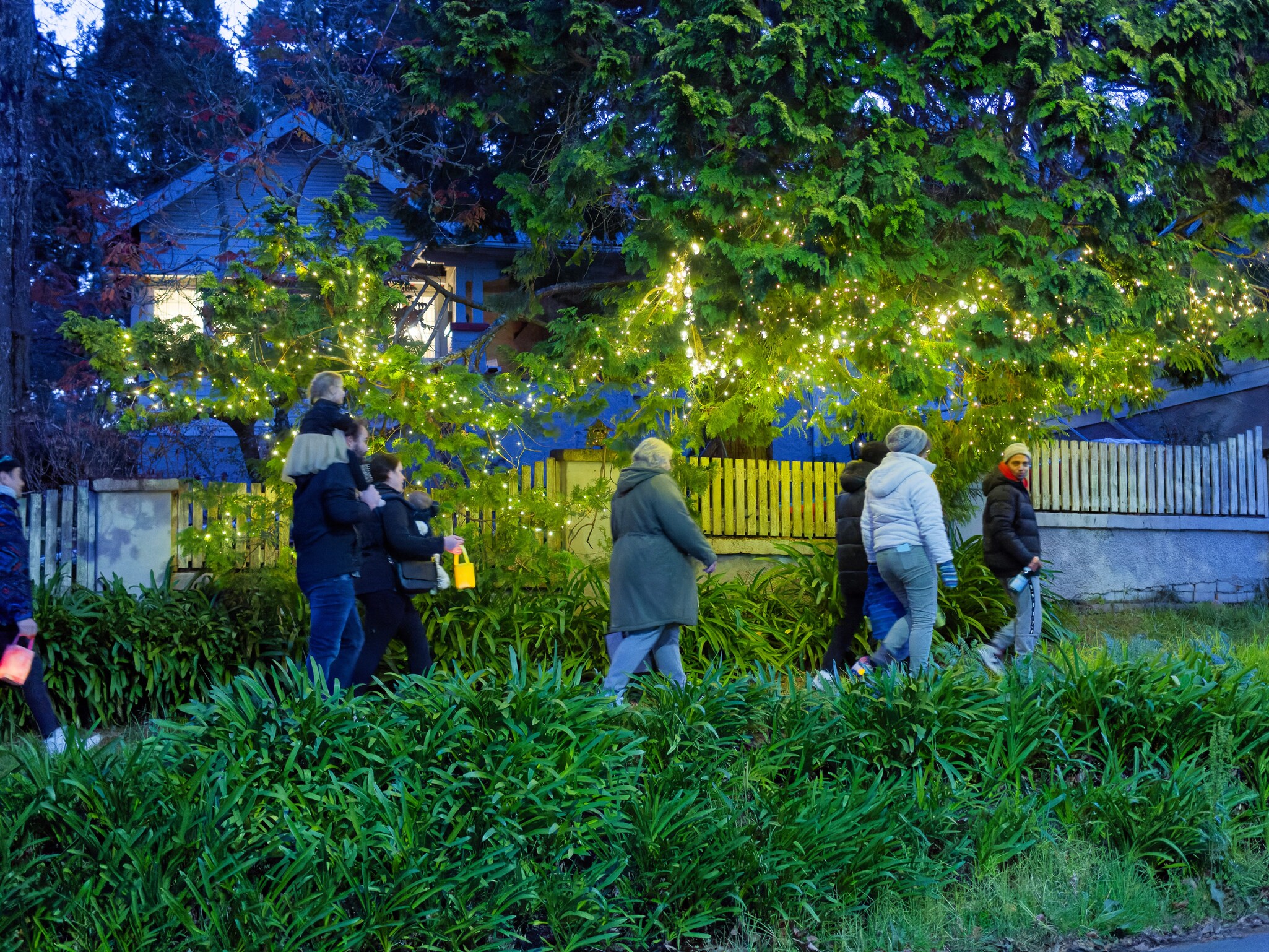 Kindlehill families carrying lanterns beneath sparkling trees, sharing a Winters Night ritual of community warmth and hope.