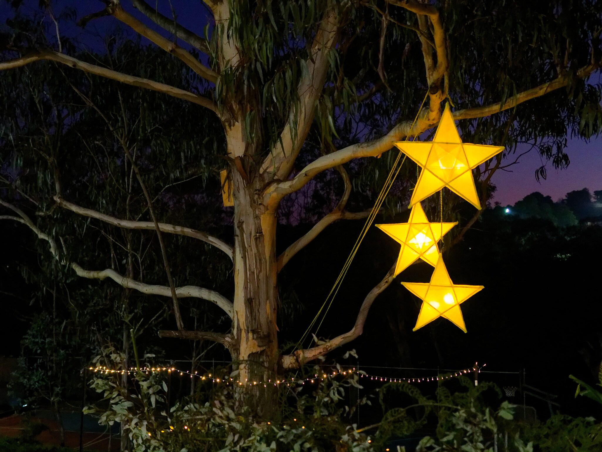 Glowing yellow stars illuminate a gum tree, symbolising community warmth and shared hope during a winter night ritual.