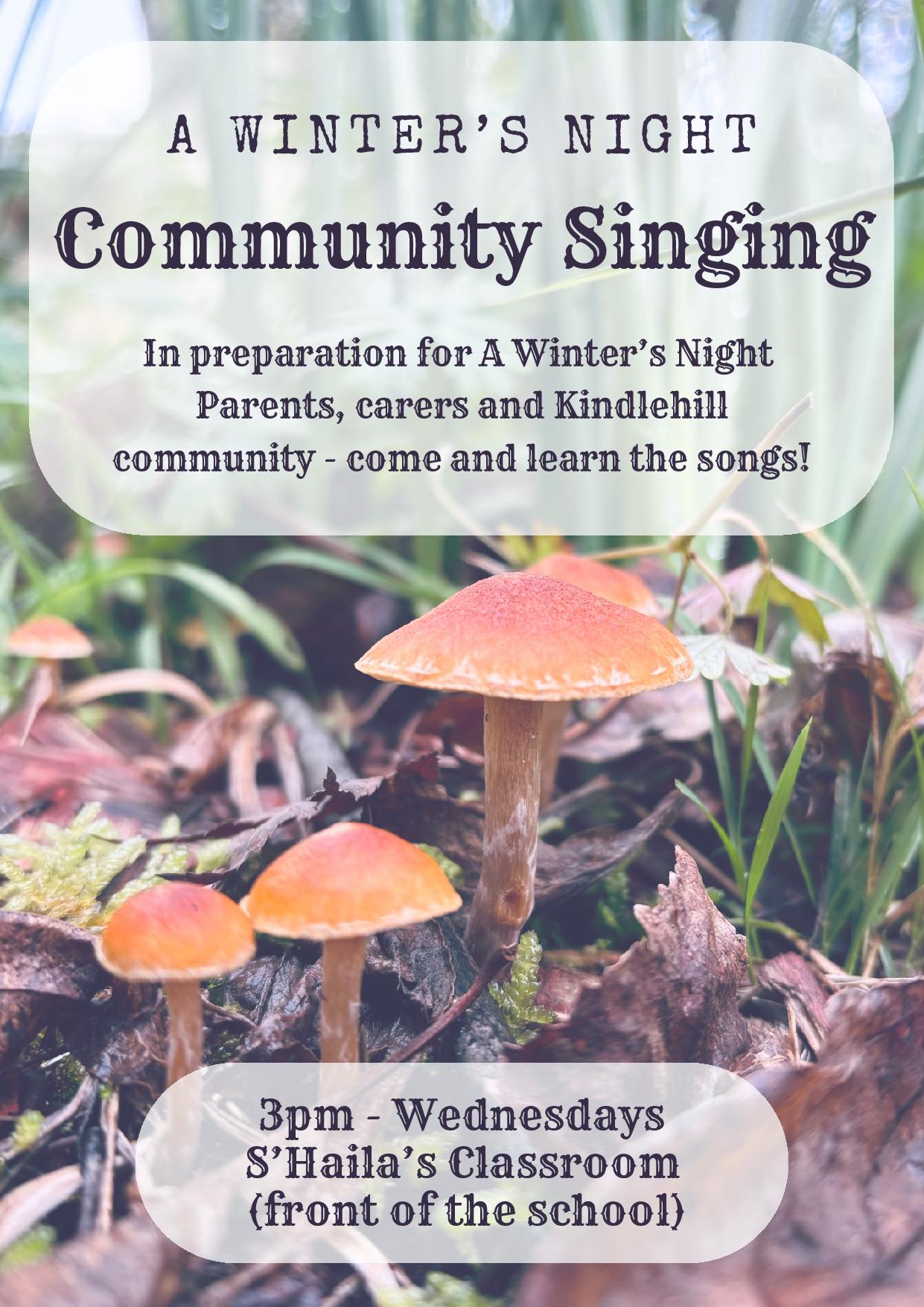 Fungi amongst winter leaves invite the Kindlehill community to connect through shared song and seasonal rhythm.