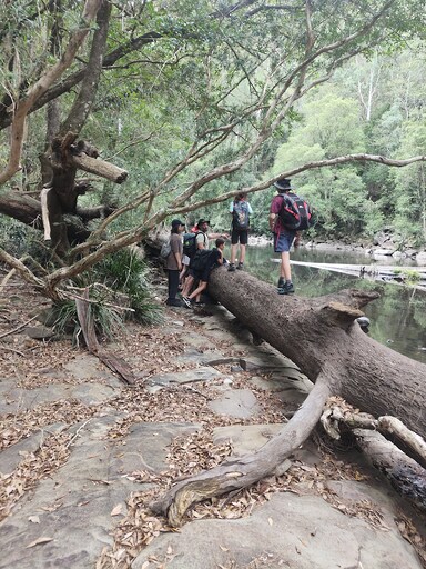 Kindlehill students stand together on a fallen tree, connecting with the river and bushland during a nature-centred adventure.