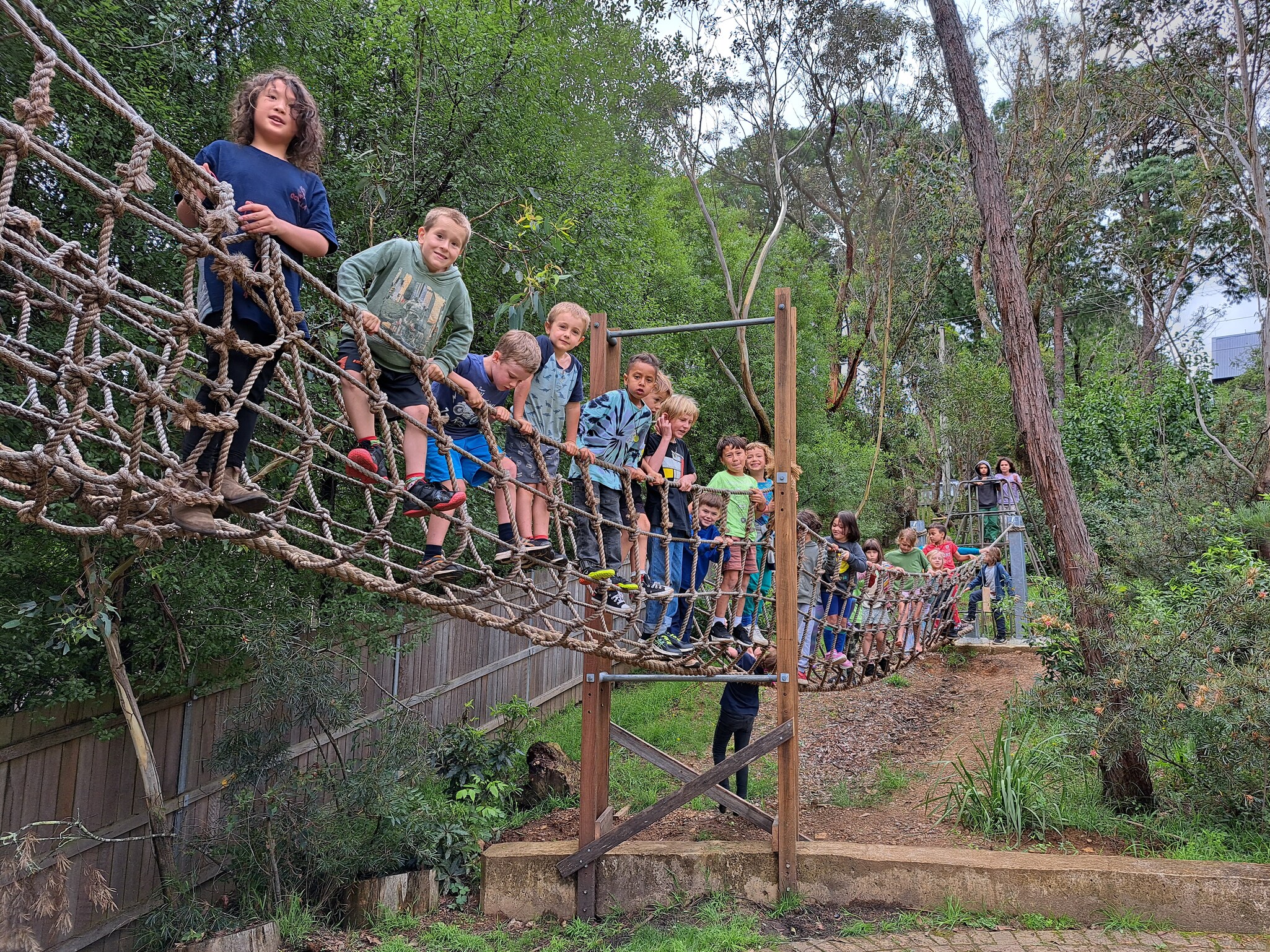 Kindlehill students foster community and resilience, balancing together on a rope bridge nestled in the Blue Mountains bushland.