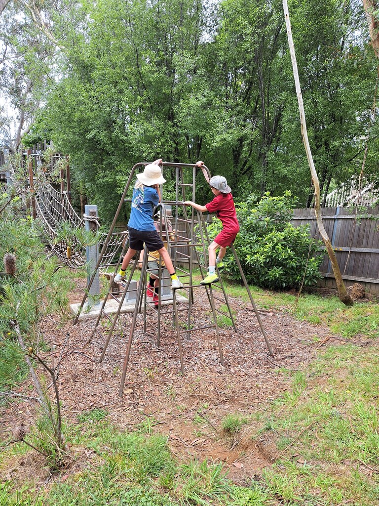 Students navigate climbing structures in the bushland, growing into whole humans through adventurous play and connection to Country.