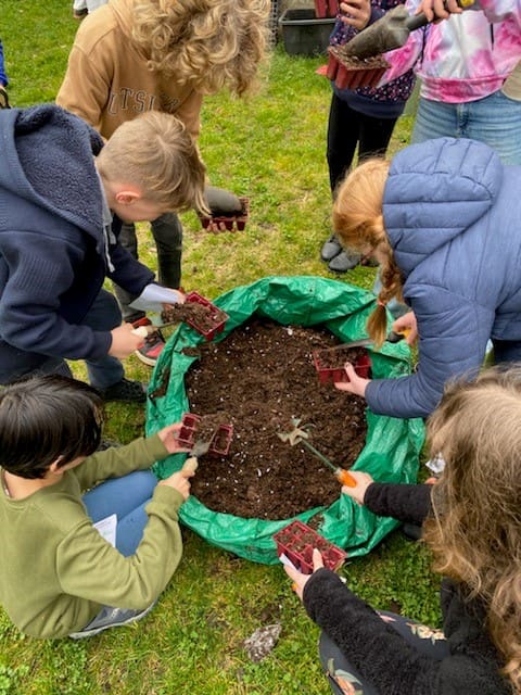 Kindlehill students collaboratively garden, fostering earth-centred connections and a shared spirit of contribution to their community.