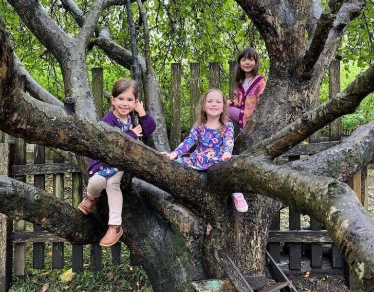 Three Kindlehill students smile whilst climbing a tree, embodying their connection to nature and the warm spirit of community.