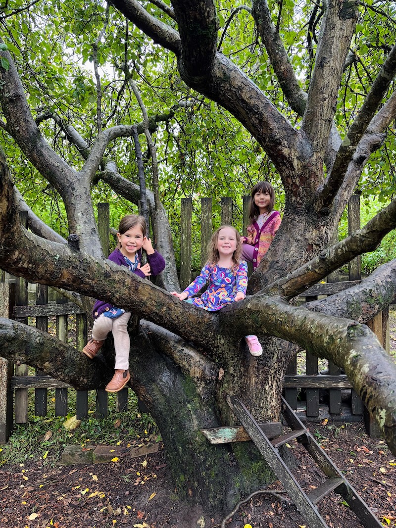 Three Kindlehill students smile whilst climbing a tree, embodying their connection to nature and the warm spirit of community.