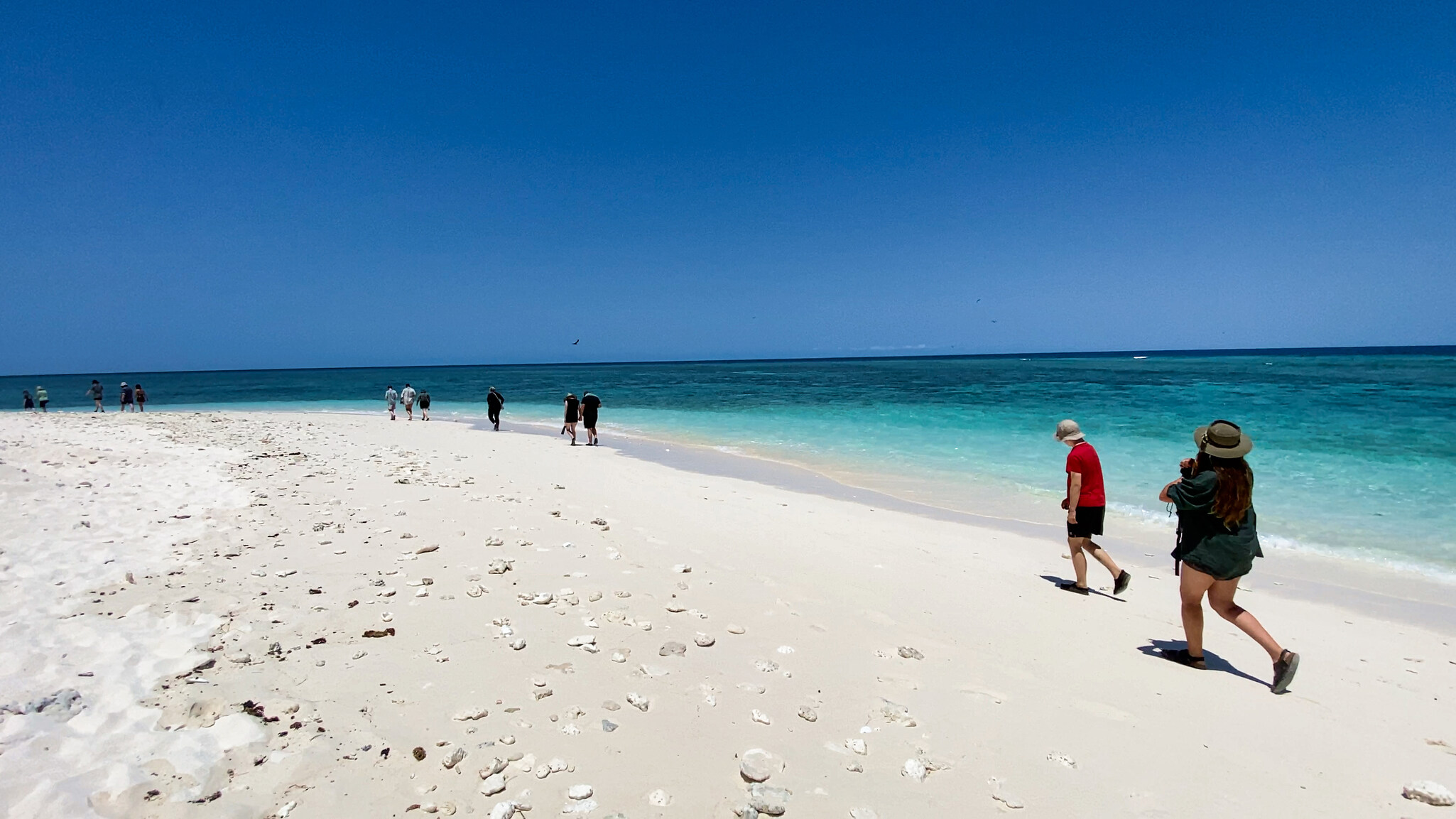 Students walk along a pristine shore, strengthening their connection to Country and the warm spirit of community.