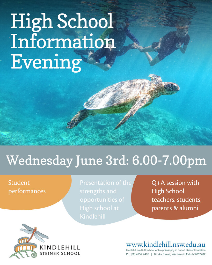 Snorkelling students encounter a sea turtle, embodying Kindlehills deep connection to nature and adventurous, holistic learning.