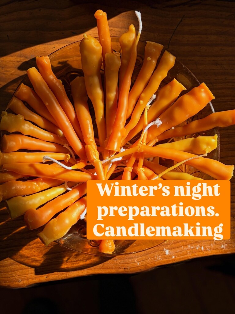 Hand-dipped beeswax candles honour seasonal rhythms and the warm, artistic spirit of the Kindlehill community hearth.