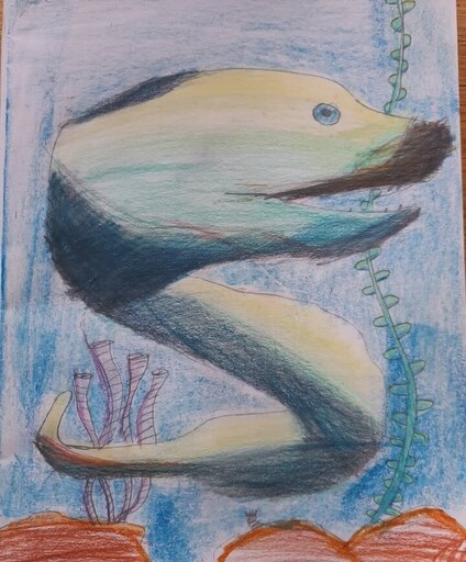 Hand-drawn eel weaving through seaweed, representing ancestral storytelling and the vibrant spirit of Kindlehills connection to Country.
