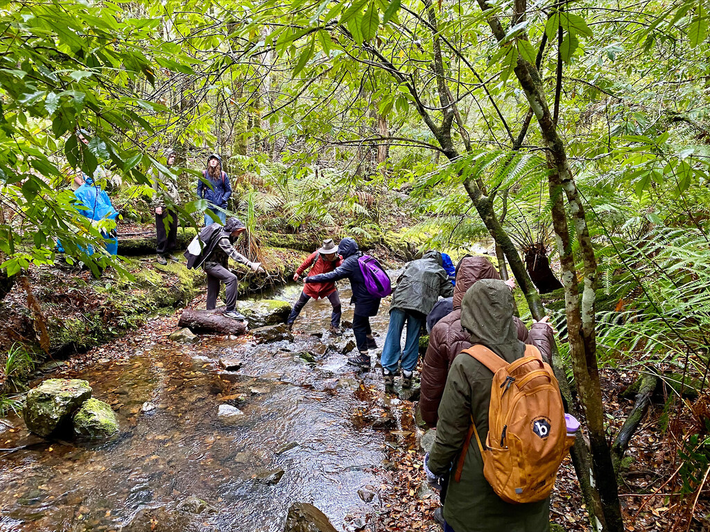 Kindlehill students navigate a mountain stream together, building resilience and connection to Country through shared outdoor adventure.