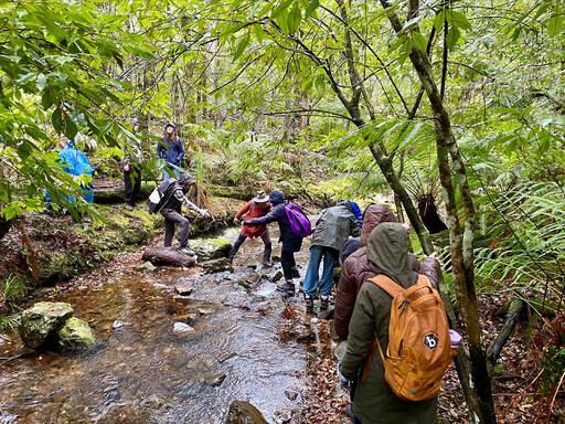 Kindlehill students navigate a mountain stream together, building resilience and connection to Country through shared outdoor adventure.