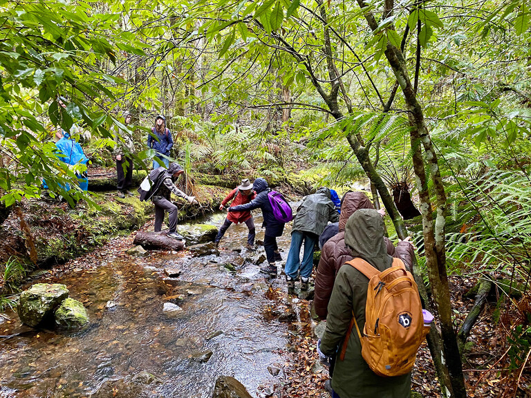Kindlehill students navigate a mountain stream together, building resilience and connection to Country through shared outdoor adventure.