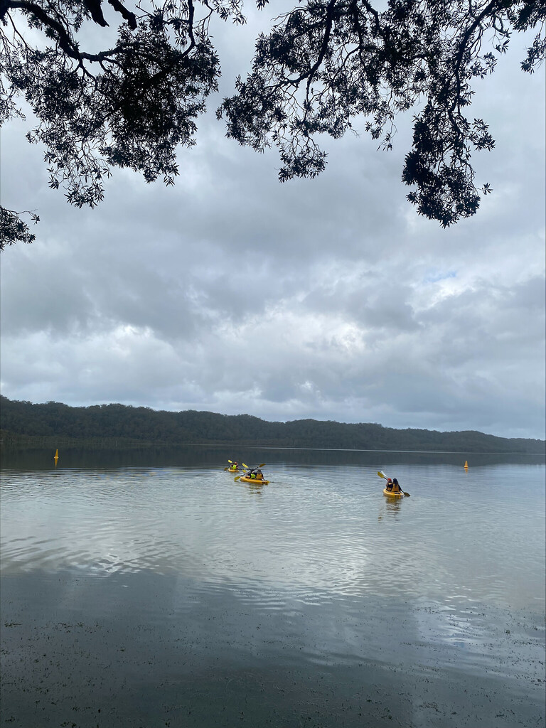 Students navigate yellow kayaks across a tranquil lake, honouring their connection to Country through a nature-centred outdoor journey.